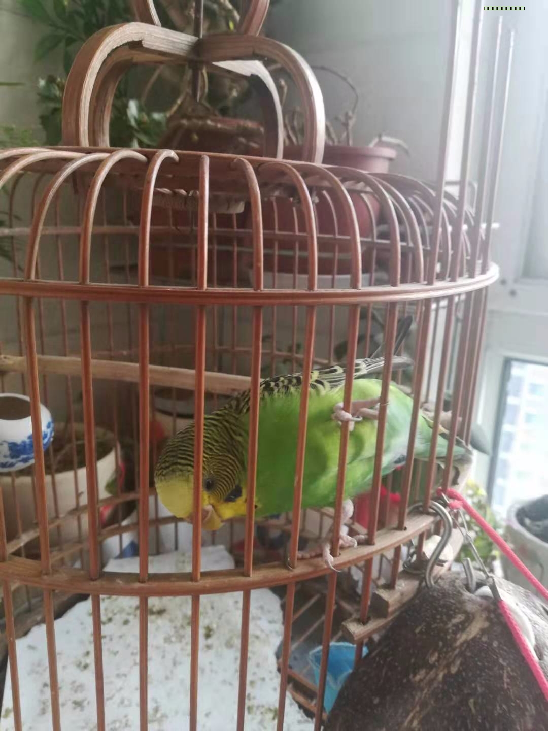 抒情诗一首